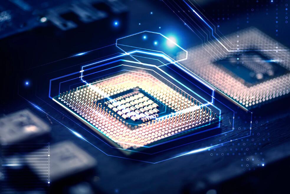 树木是如何吸收二氧化碳,释放氧气的呢 吸收二氧化碳的植物